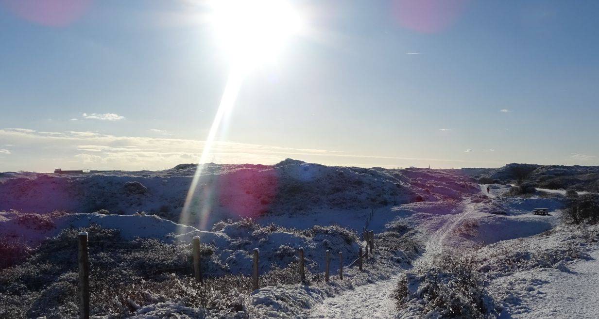 Limburgse gemeenten versus Microsoft: FvD op de bres voor privacy Ossenaren; Reclamemachine van DPG Media; UBO-vrees van VNO; Tiktokken voor China